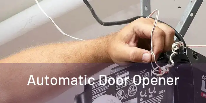  Automatic Door Opener 