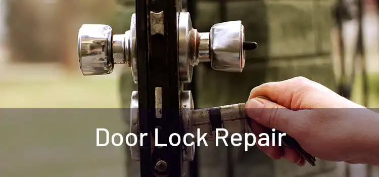Door Lock Repair