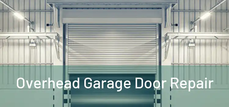  Overhead Garage Door Repair 